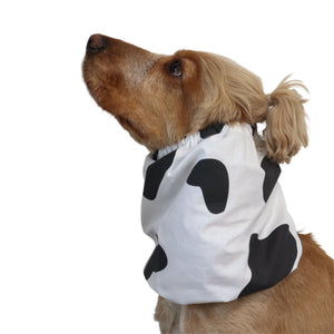 A light brown dog wearing a white pet snood with black cow-print spots