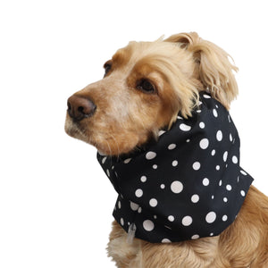 Front three-quarter view of a Cocker Spaniel wearing the Black Dots waterproof dog snood, showing the full polka dot print and overall fit.