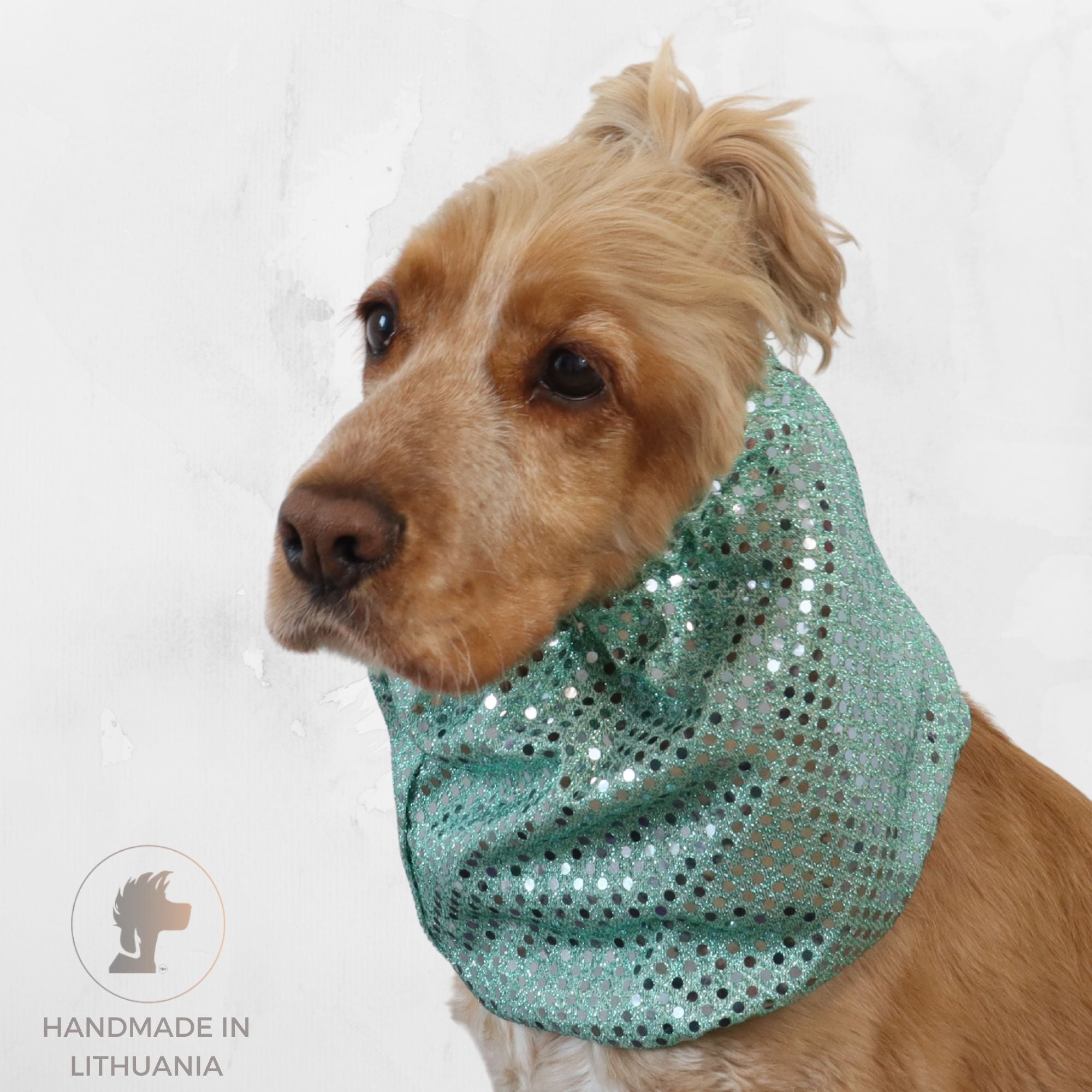 Dog with green snood