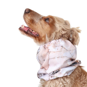 Long-eared dog snood by Distinguish me in Desert Flowers print, waterproof ear and neck protection