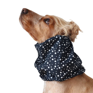 Golden English Cocker Spaniel wearing a black cotton dog snood patterned with scattered white dots.