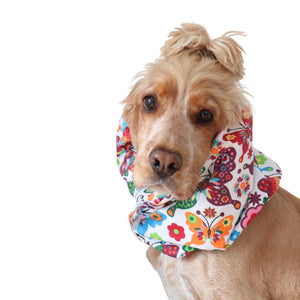 Golden English Cocker Spaniel wearing a colorful cotton dog snood patterned with butterflies, flowers .