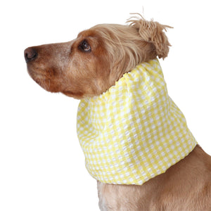 Golden English Cocker Spaniel wearing a yellow and white gingham cotton dog snood over its long ears.