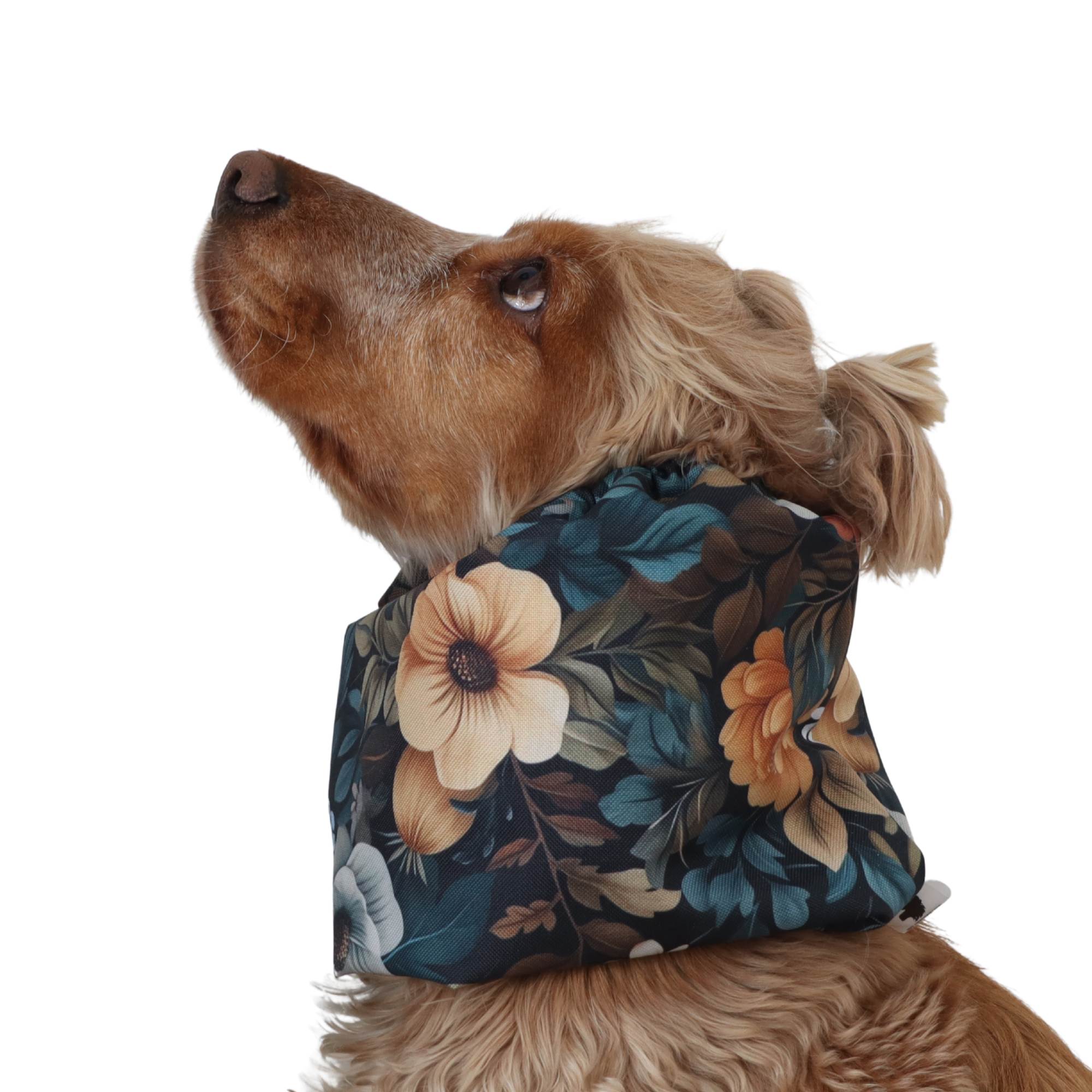 Long-eared dog snood by Distinguish me in Forest Bouquet dark floral design, snug and comfortable fit