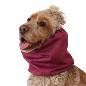 Long-eared dog snood by Distinguish me in Raspberry burgundy shade with snug comfortable fit