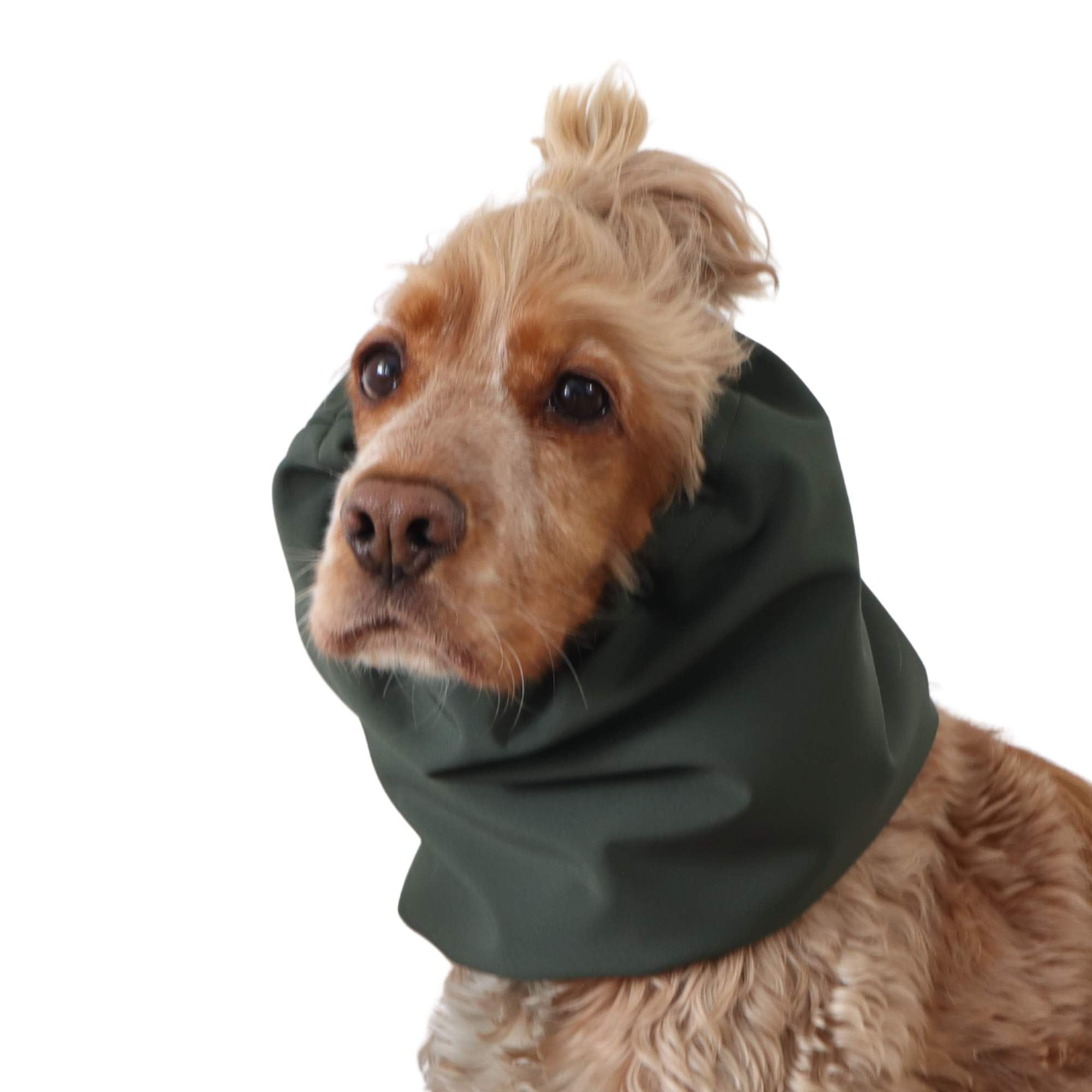Solid forest green waterproof dog ear cover snood by Distinguish me with snug comfortable fit
