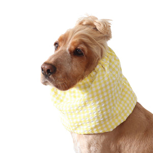 Golden English Cocker Spaniel wearing a yellow and white gingham cotton dog snood over its long ears.