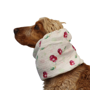 Cocker wearing cherry print white cotton muslin dog snood by Distinguish Me