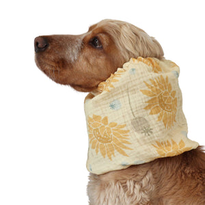 dog with snood from Distinguish me