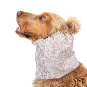 Waterproof dog ear cover for long eared dogs