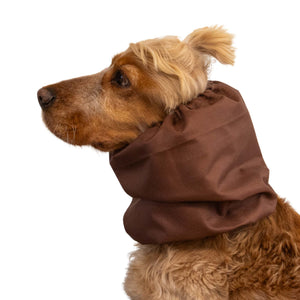 Dog wearing a brown hood on a white background