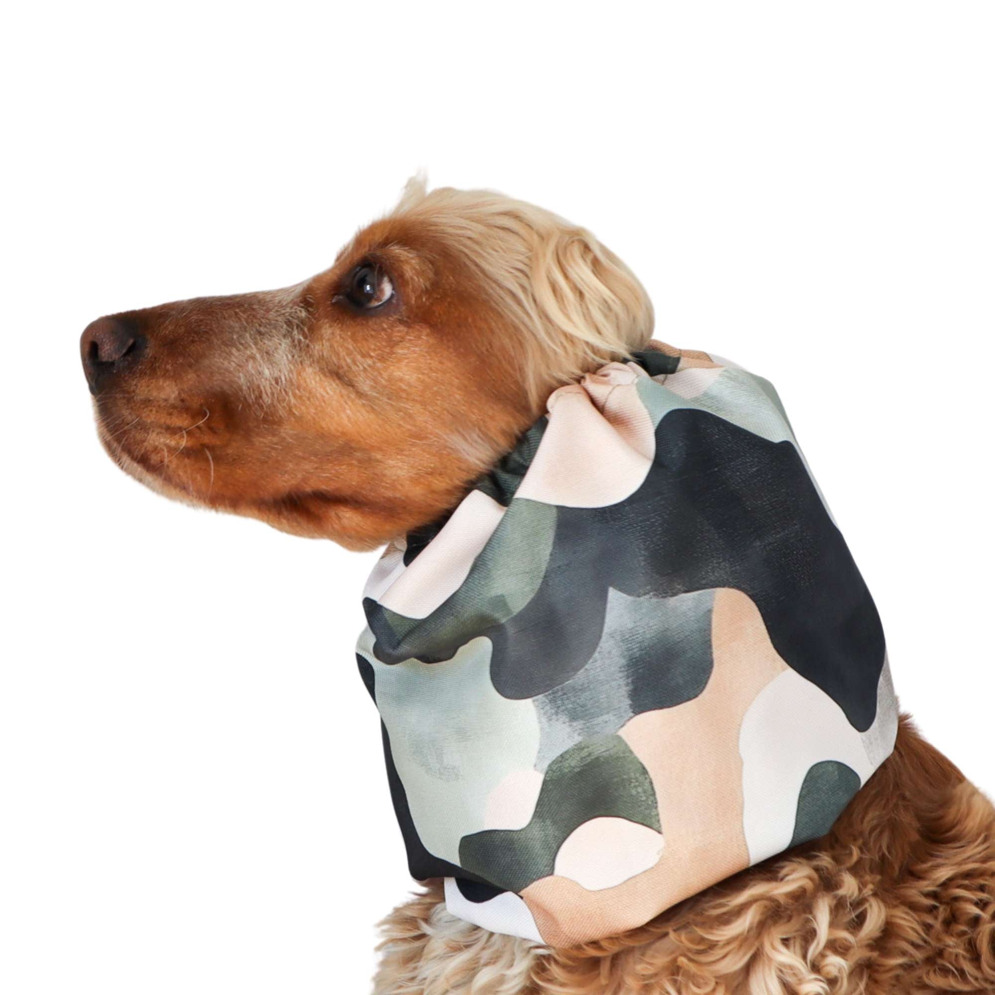 Camouflage waterproof dog snood for Beagles and spaniels – long ear cover for outdoor walks