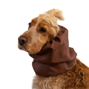 Dog wearing a brown hood on a white background