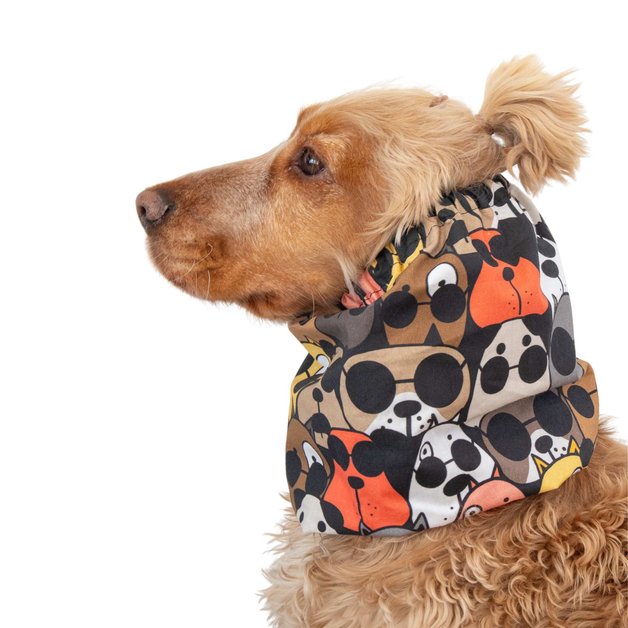 Lightweight cotton dog snood for summer walks with playful Cool Dogs pattern