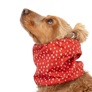 Summer snood for spaniel and cavalier dogs made from breathable cotton fabric