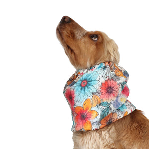 Dog with summer snood by Distinguish me