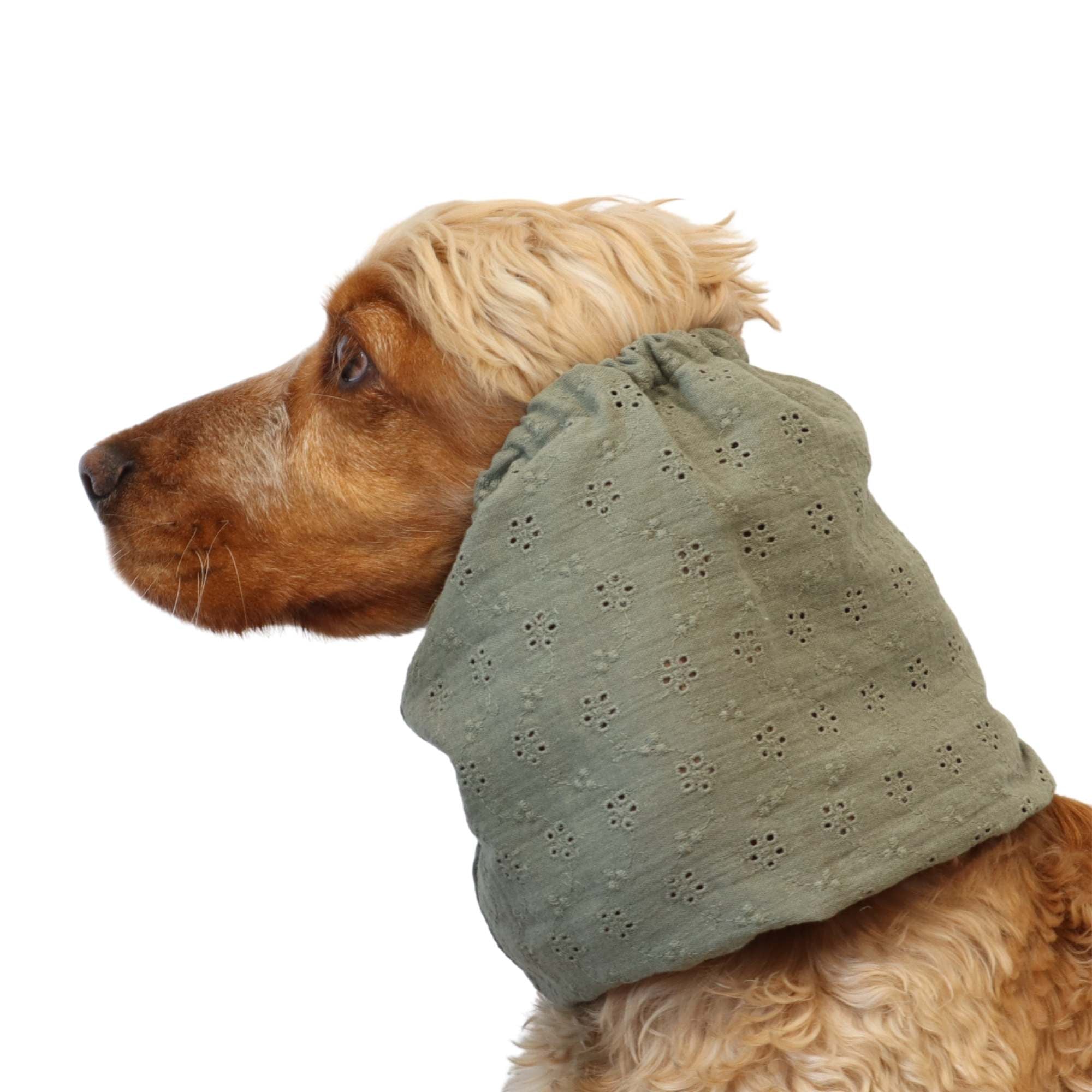 Spaniel wearing sage green dog snood with floral embroidery – Sage Bloom by Distinguish Me