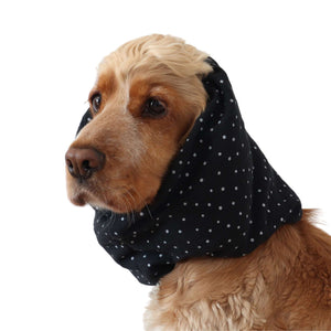 Dog with dog snood Black with dots from Distinguish Me