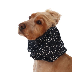 Golden English Cocker Spaniel wearing a black cotton dog snood patterned with scattered white dots.