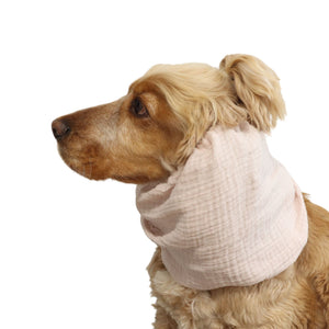 Side view of a Cocker Spaniel wearing the Blush muslin dog snood, showing how it keeps long ears covered during feeding and daily walks.