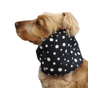 Cocker Spaniel wearing the Black Dots dog snood from another angle, showing the fit around the neck and the gathered elastic edges.