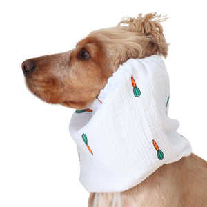 Golden English Cocker Spaniel wearing a white cotton muslin dog snood printed with orange and green carrots.
