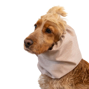 Dog with snood from Distinguish me
