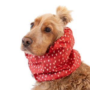 Long ear dog snood with red hearts pattern for daily use