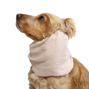 Cocker Spaniel wearing the Blush summer snood from another angle, showing the lightweight muslin fabric and comfortable fit around the neck.