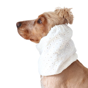 Golden English Cocker Spaniel wearing a white embroidered cotton muslin dog snood with delicate floral eyelet details.