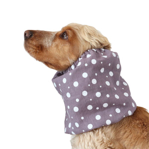 Dog snood Distinguish me