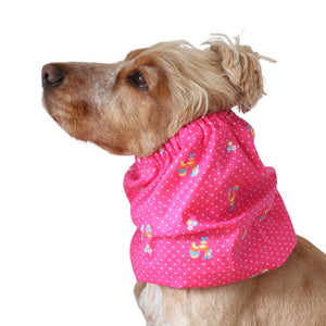 Golden English Cocker Spaniel wearing a bright pink cotton snood with vintage roosters, tiny flowers and white dots.