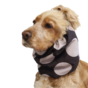 Front three-quarter view of a Cocker Spaniel wearing the Chocolate Dots waterproof dog snood, showing the full polka dot print and overall fit.