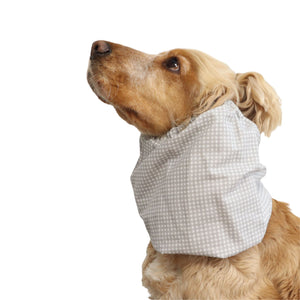 Cocker Spaniel wearing the Pastel Cells summer snood from another angle, showing the lightweight cotton fabric and fit around the neck.