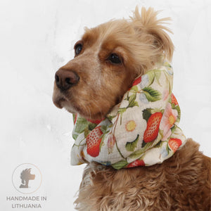 Cocker spaniel wearing Distinguish me Wild Strawberry cotton muslin dog snood with strawberry and blossom print