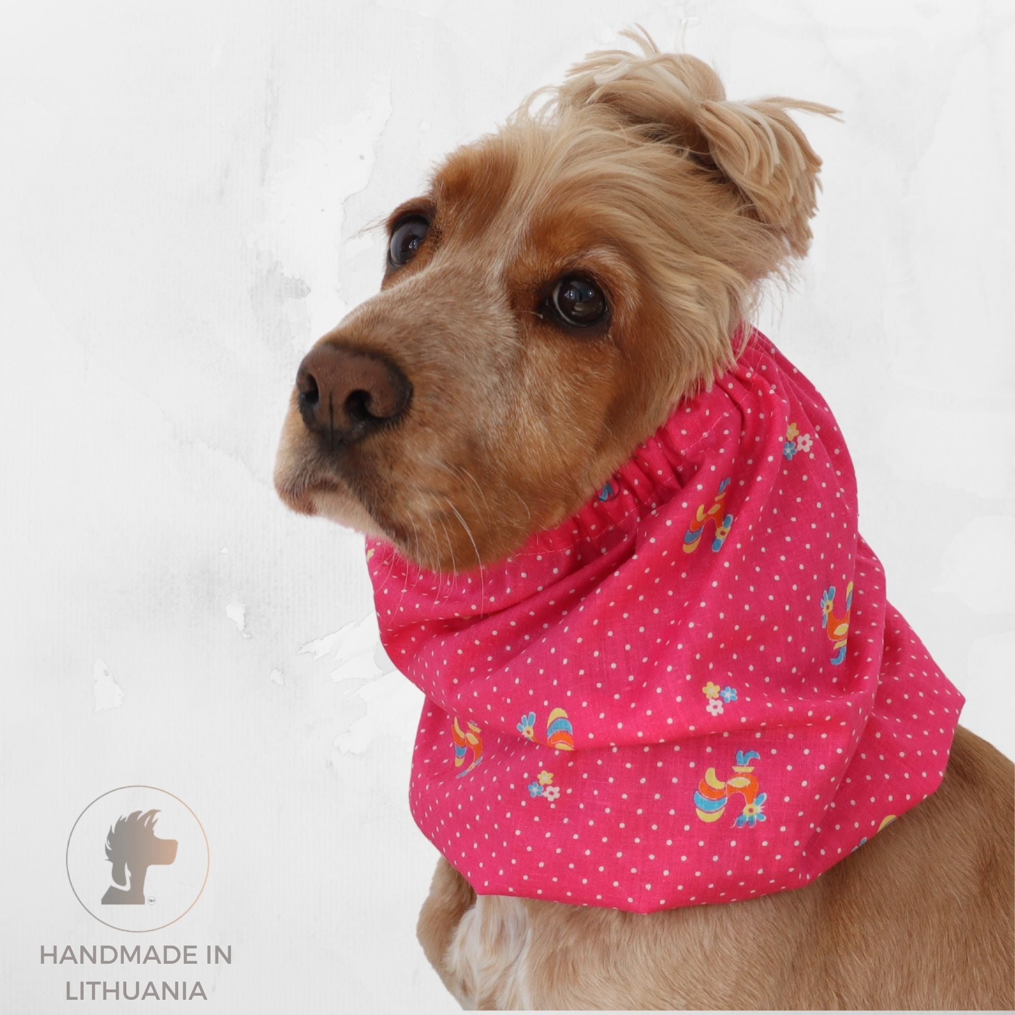 Golden English Cocker Spaniel wearing a bright pink cotton snood with vintage roosters, tiny flowers and white dots.