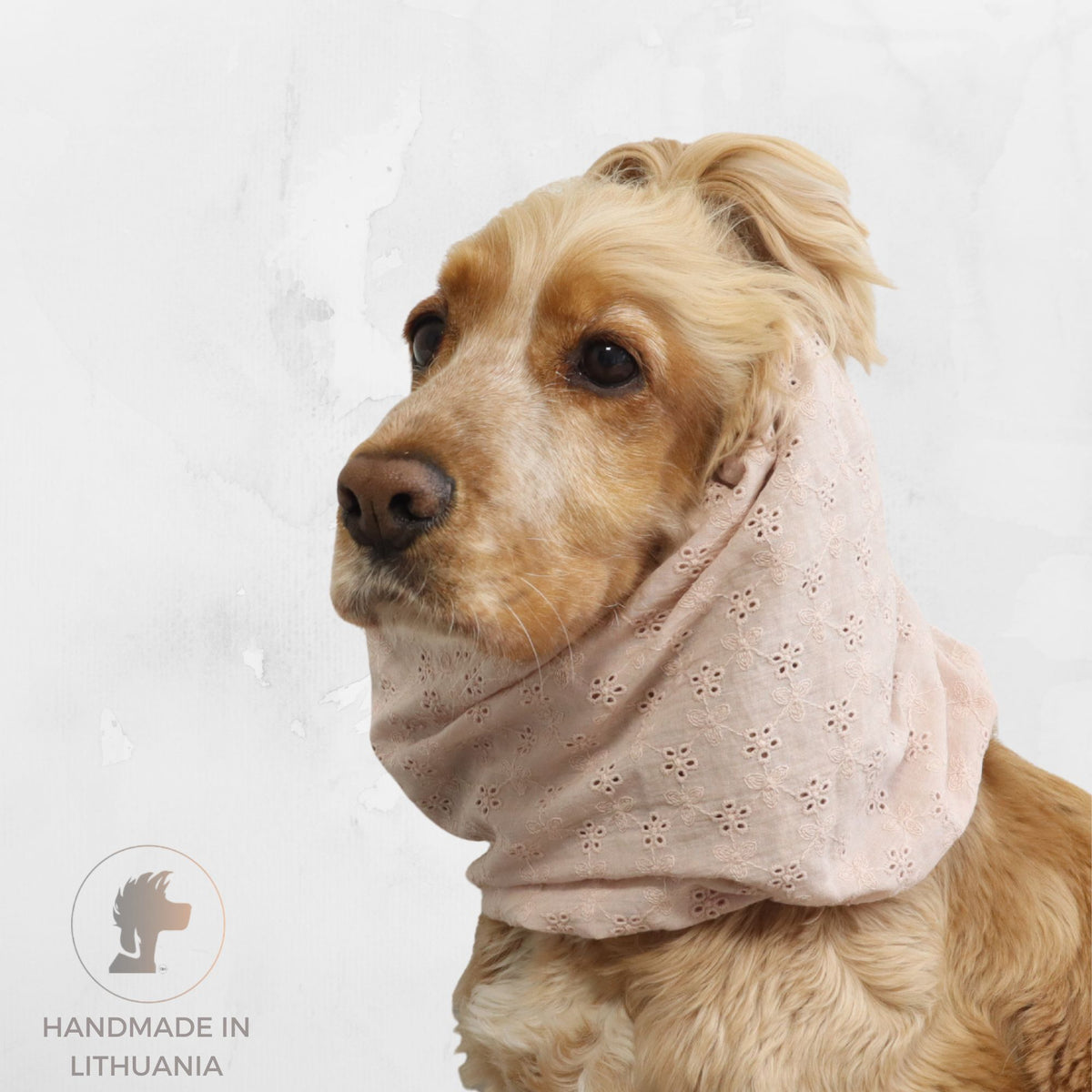 Summer dog snood in Blush Blooms embroidered cotton, shown on a Cocker Spaniel with icons for cotton, feeding, daily walks and summer season