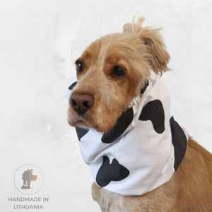 A light brown dog wearing a white pet snood with black cow-print spots