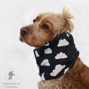 Cocker spaniel wearing Distinguish me White Clouds cotton dog snood with white cloud print on black background
