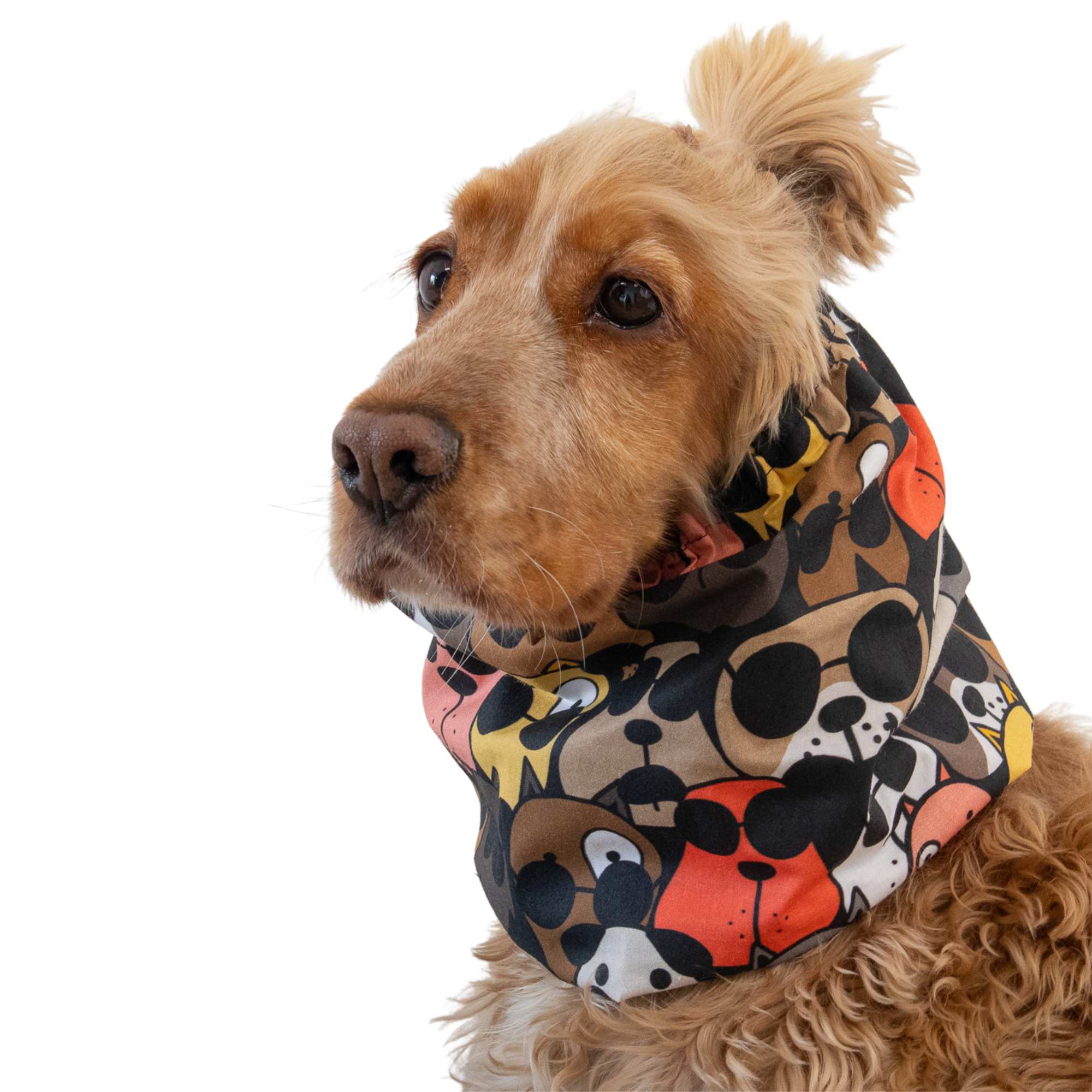 Long ear dog snood for feeding and daily walks with fun dog print