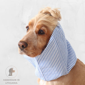 Golden English Cocker Spaniel wearing a blue and white striped cotton dog snood over its long ears.
