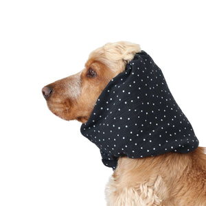 Dog with dog snood Black with dots from Distinguish Me