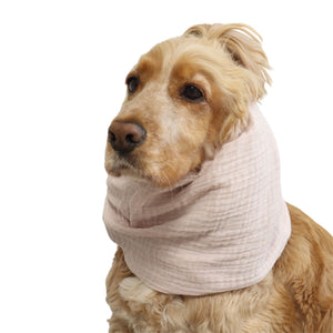 Front three-quarter view of a Cocker Spaniel wearing the Blush cotton muslin dog snood, showing the soft pink fabric and overall fit.