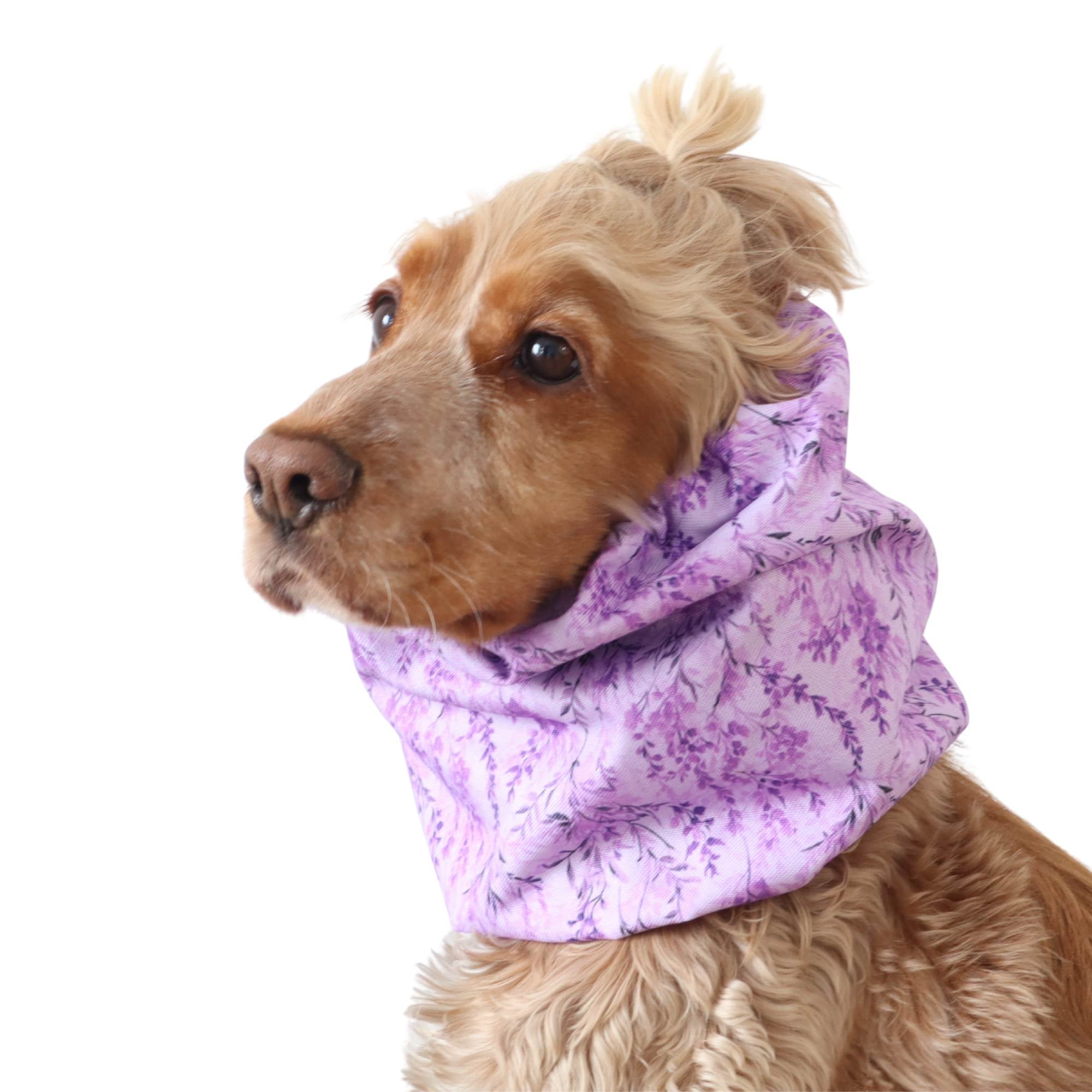 Long-eared dog snood by Distinguish me in Lavender Meadow purple floral design with snug comfortable fit