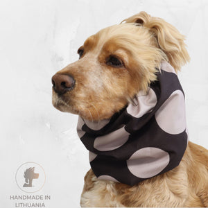 Golden Cocker Spaniel wearing the Chocolate Dots waterproof dog snood with a brown fabric and large beige polka dot pattern.