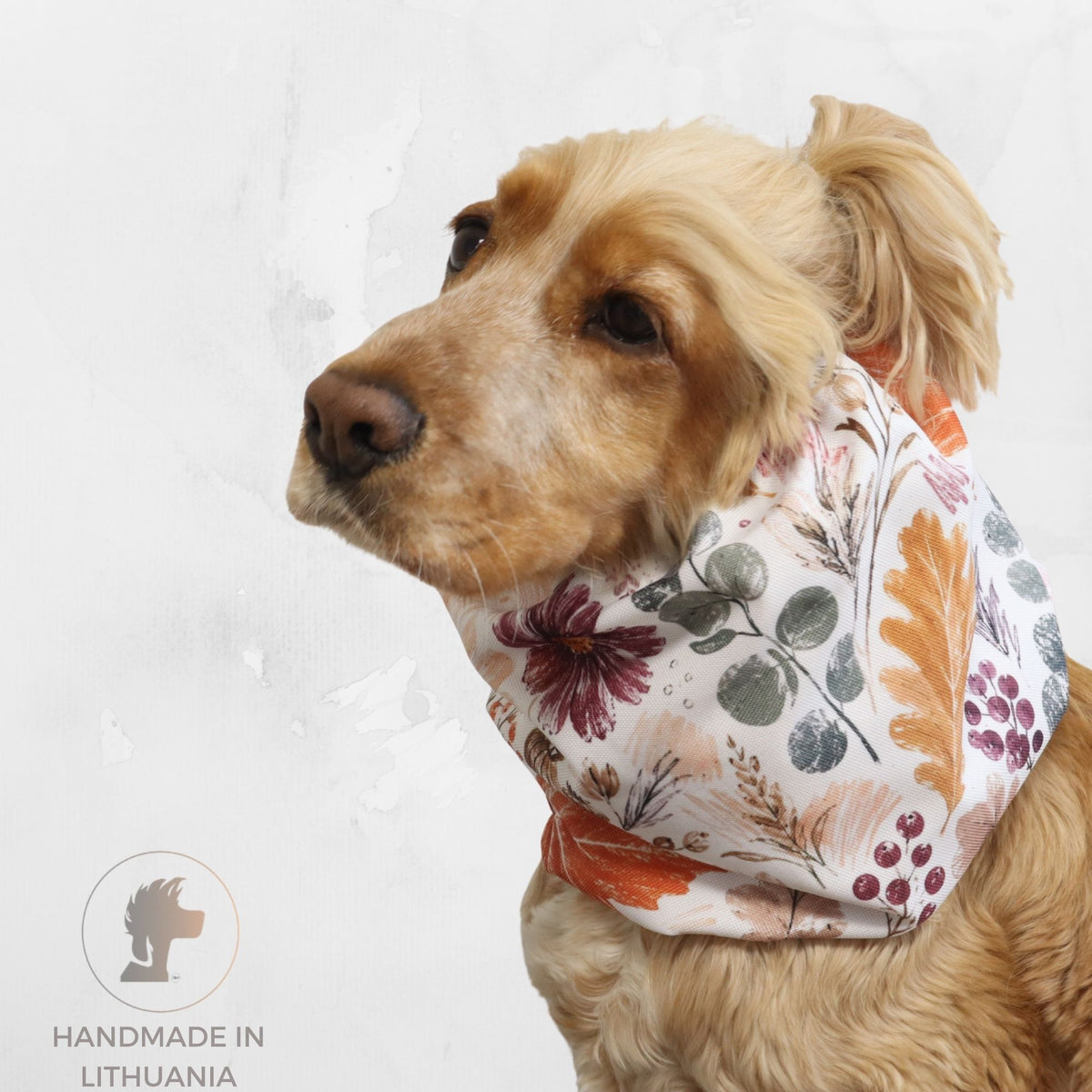 Golden Cocker Spaniel wearing the Autumn Garden waterproof dog snood with an autumn botanical print in orange, burgundy and muted green tones.