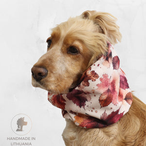Golden Cocker Spaniel wearing the Autumn Maple waterproof dog snood with a red, burgundy and orange autumn leaf print.