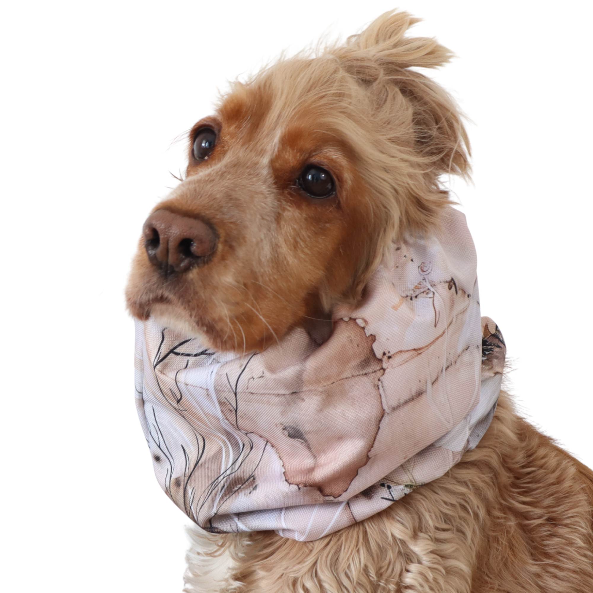 Distinguish me Desert Flowers waterproof dog snood with soft nude beige florals for Cocker Spaniel and similar breeds