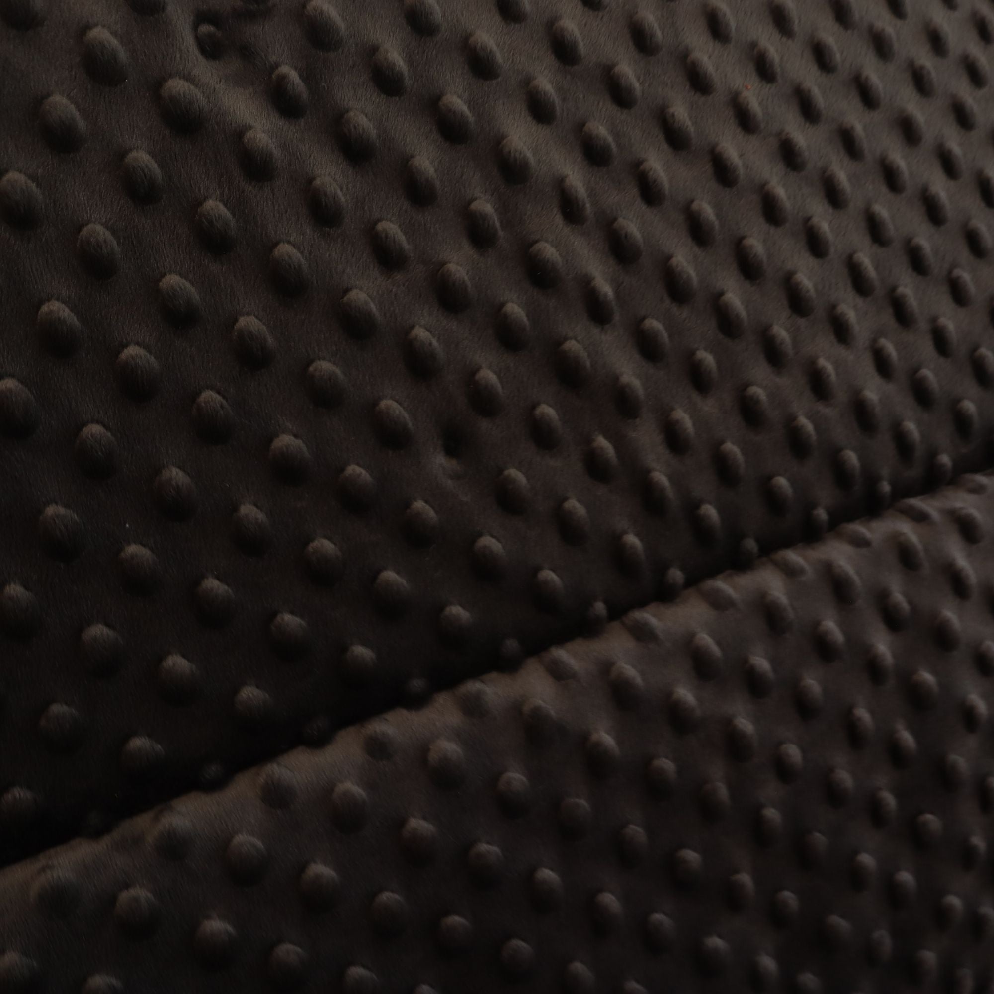 Padded Minky Dog Crate & Travel Mat