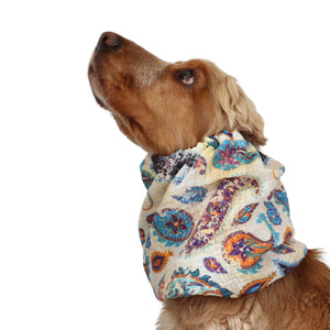 Dog with muslin dog snood from Distinguish me